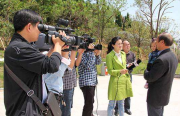 2019年佛山50公里徒步旅行的报名时间和出发时间是什么时候？